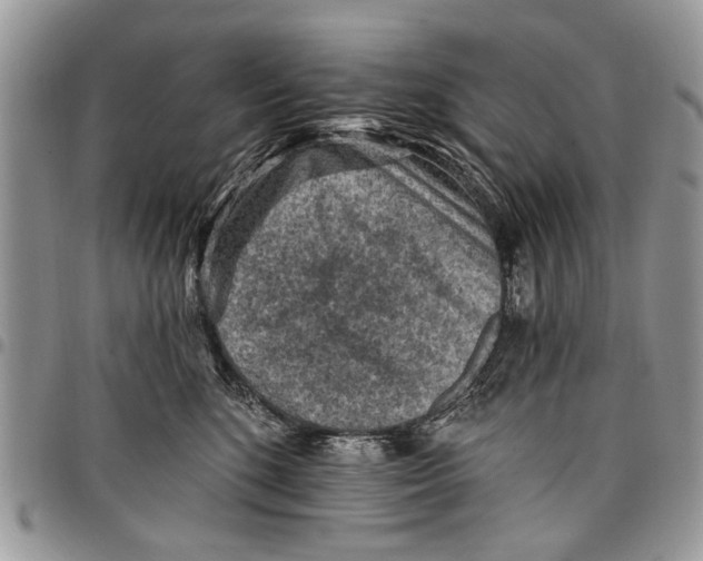 X0000097770520200803281643