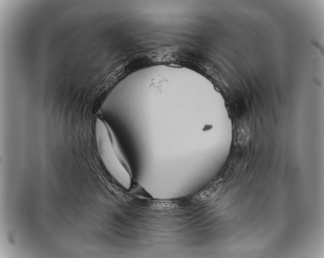 X0000097770521200803281643