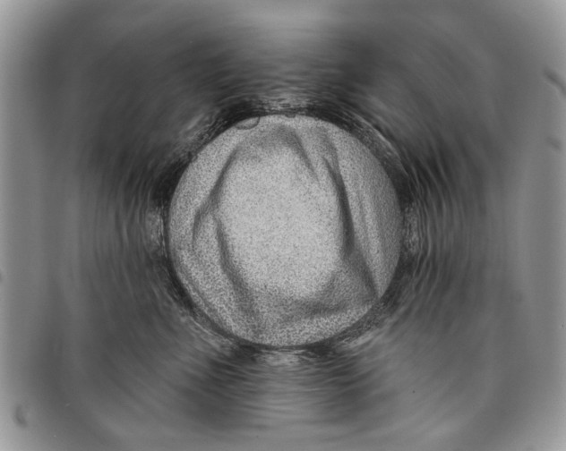 X0000097770523200803281643