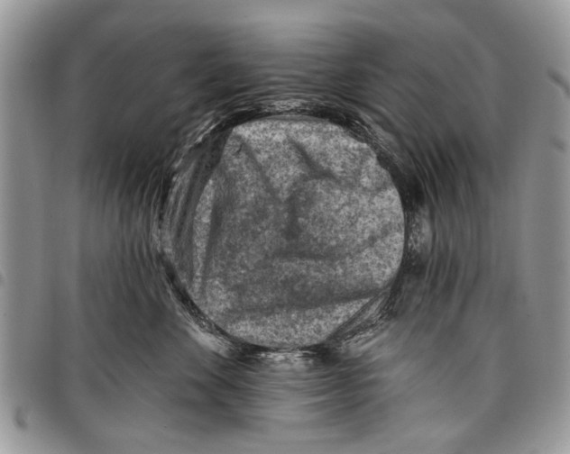 X0000097770524200803281642