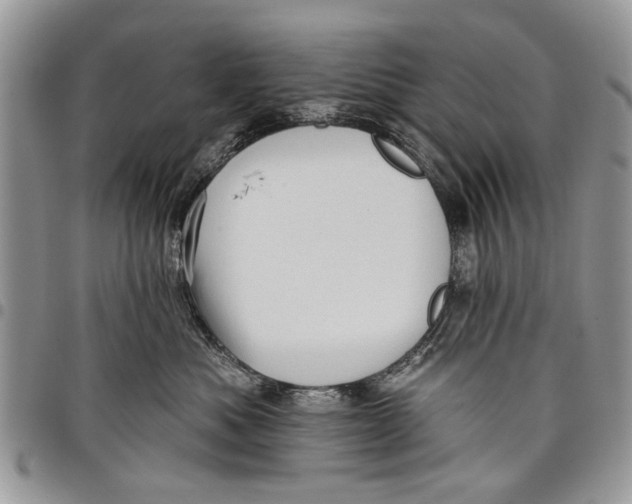 X0000097770525200803281642