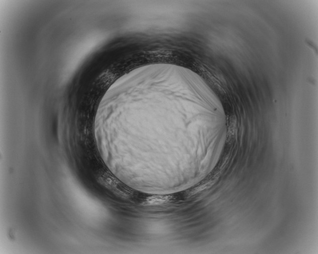 X0000097770526200803281642