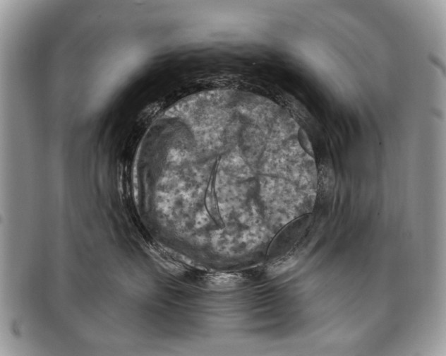 X0000097770527200803281642