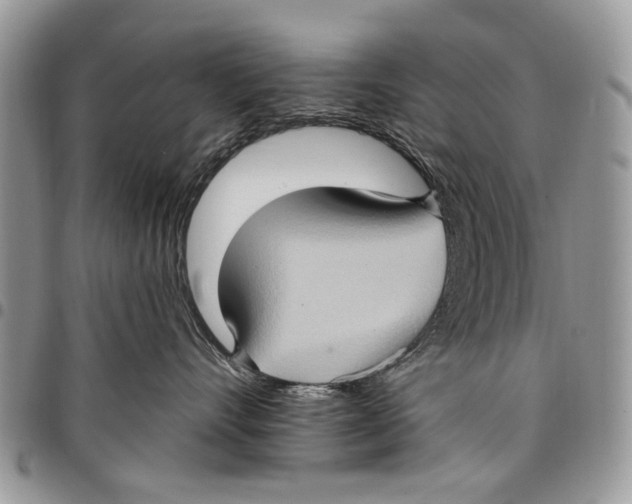 X0000097770528200803281642