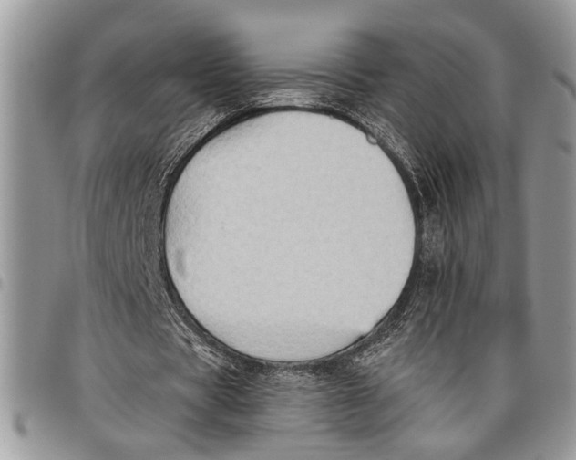 X0000097770529200803281642