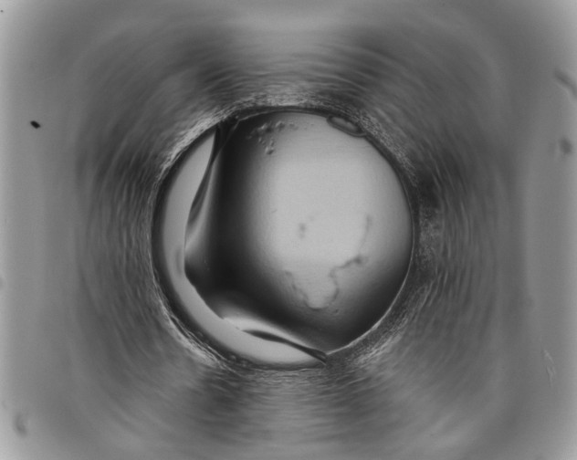 X0000097770530200803281642