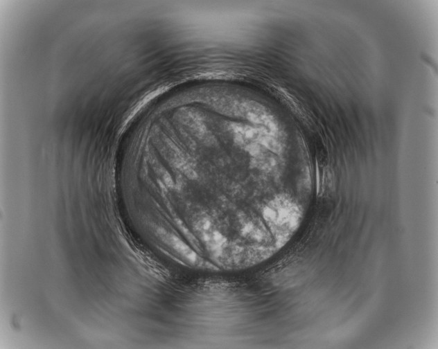 X0000097770531200803281642