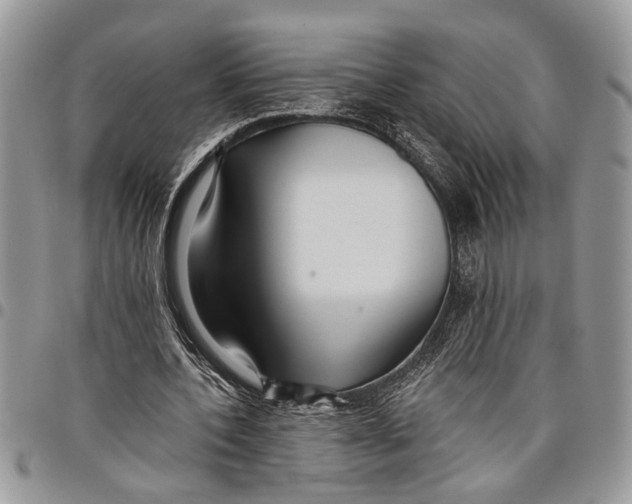 X0000097770532200803281642