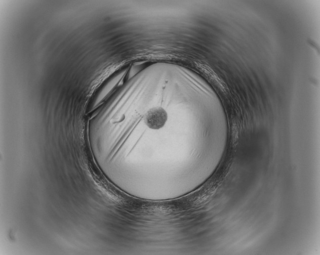 X0000097770533200803281642