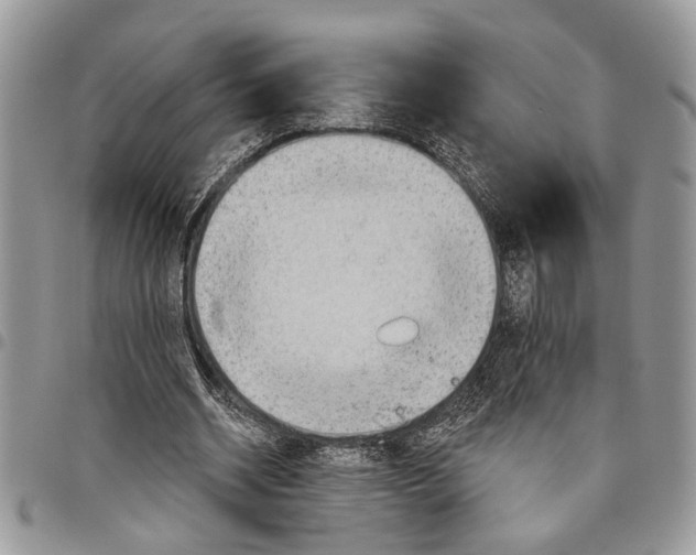 X0000097770534200803281642