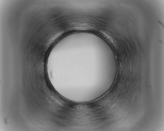 X0000097770535200803281642