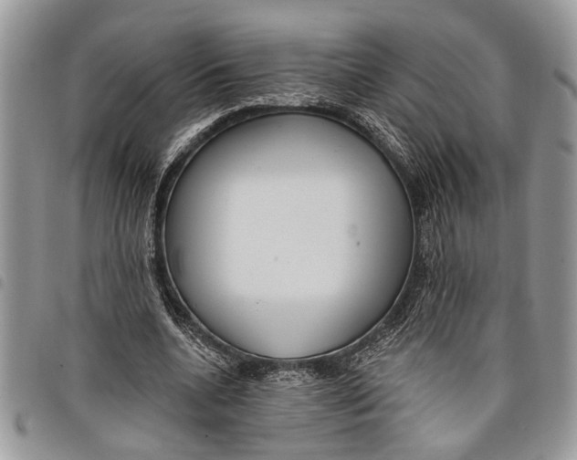 X0000097770536200803281642