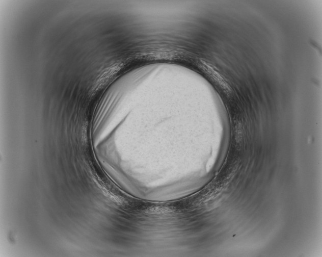 X0000097770537200803281642