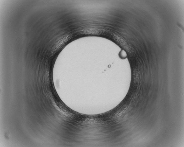 X0000097770538200803281642