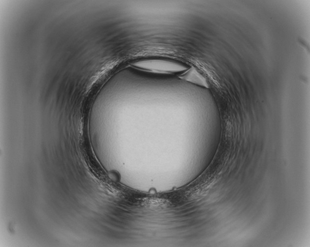 X0000097770539200803281642