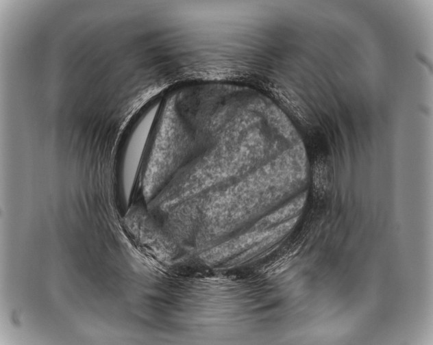 X0000097770540200803281642