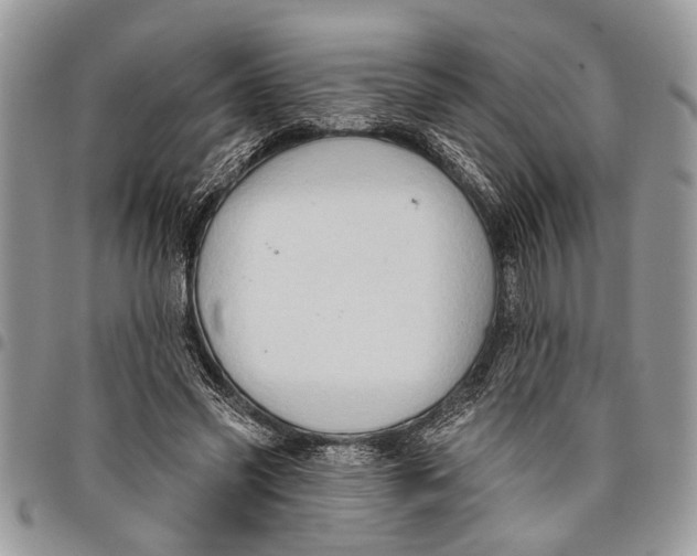 X0000097770541200803281642