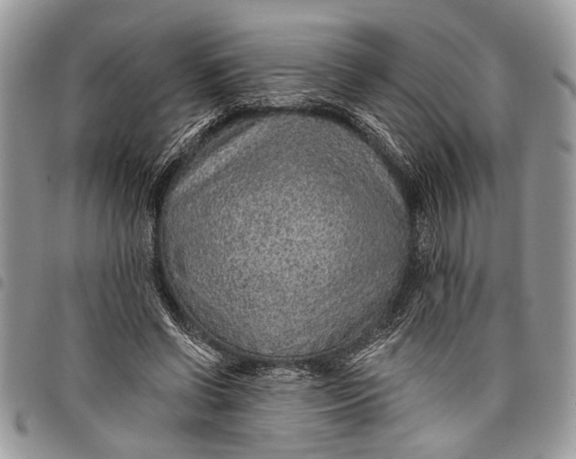 X0000097770542200803281642