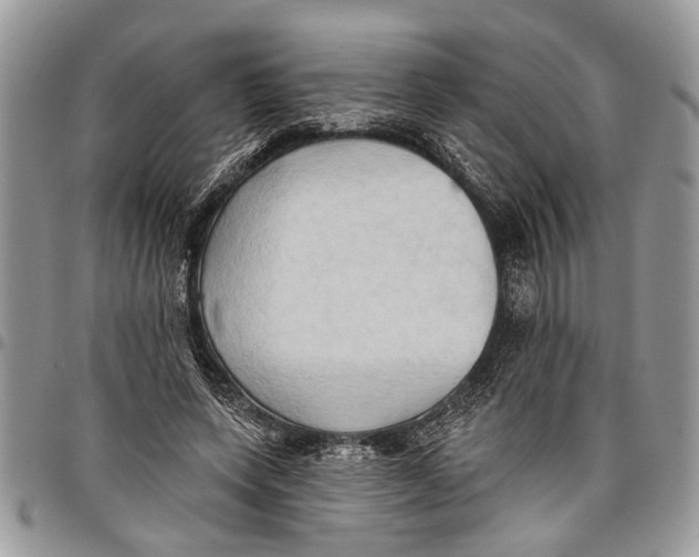 X0000097770543200803281642