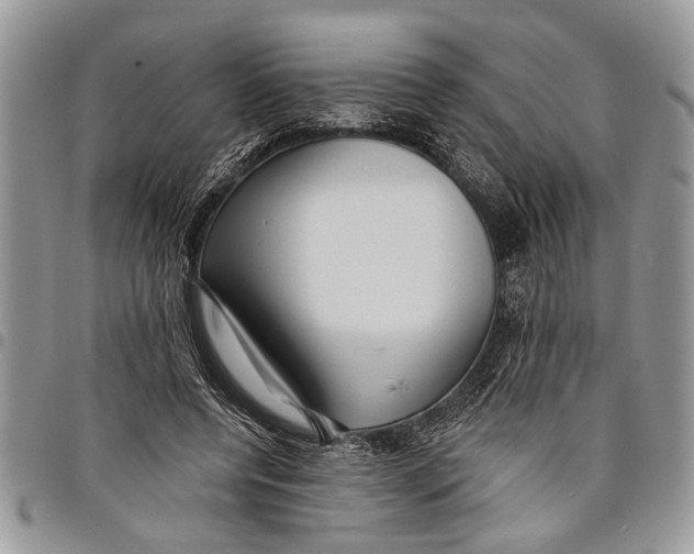 X0000097770544200803281642