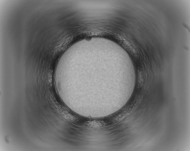 X0000097770545200803281642