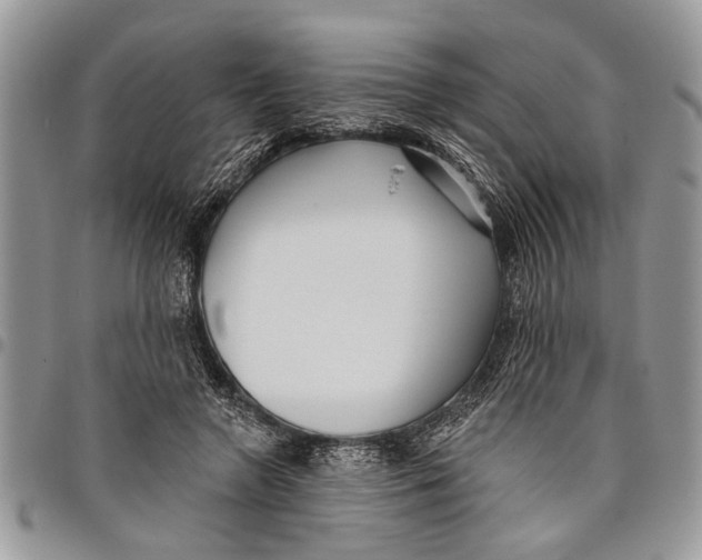 X0000097770546200803281642