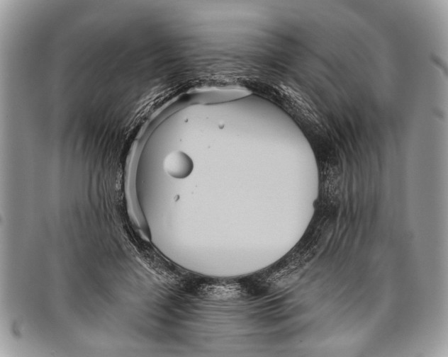 X0000097770548200803281642