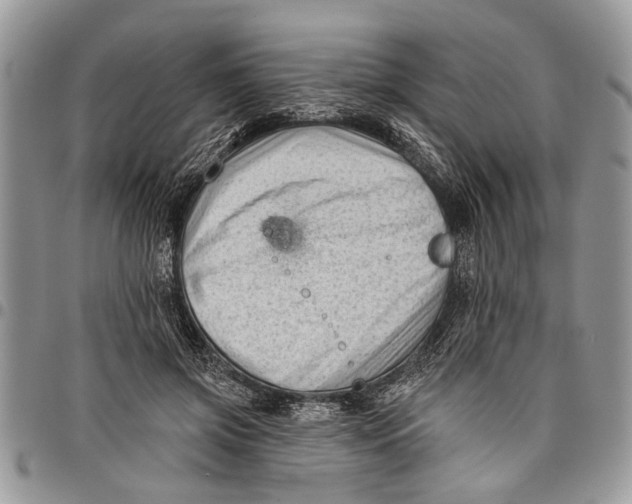 X0000097770549200803281642