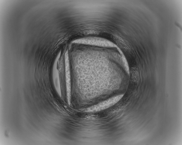 X0000097770550200803281642