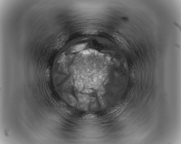 X0000097770551200803281642