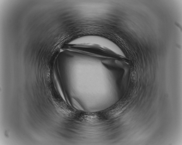 X0000097770552200803281642