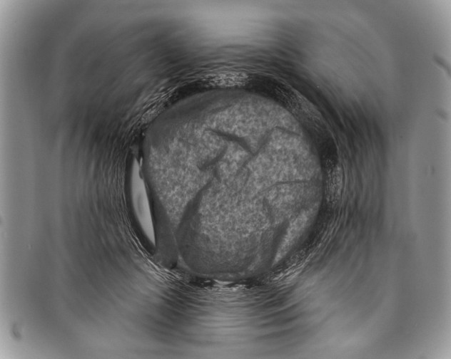 X0000097770553200803281642