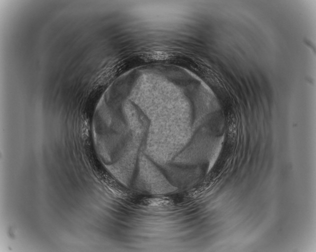 X0000097770555200803281642