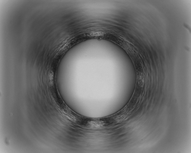 X0000097770556200803281642