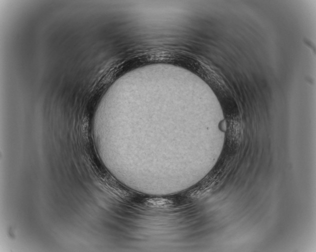 X0000097770557200803281642