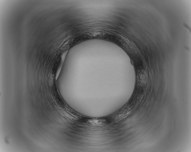 X0000097770558200803281642