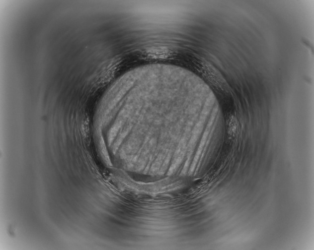 X0000097770559200803281642