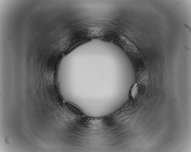 X0000097770560200803281642