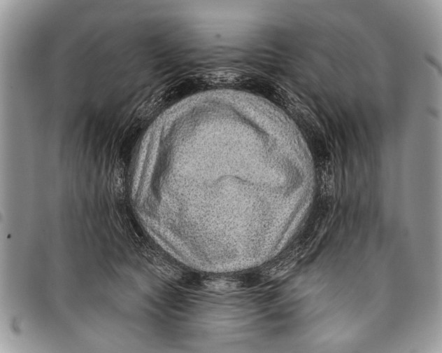 X0000097770561200803281642