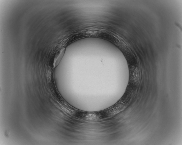 X0000097770562200803281642