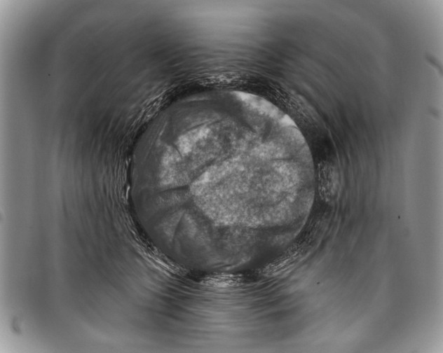 X0000097770563200803281642