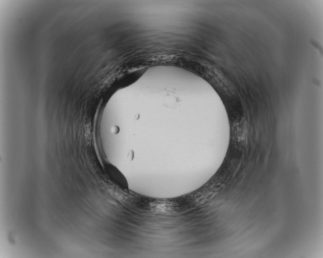 X0000097770564200803281642