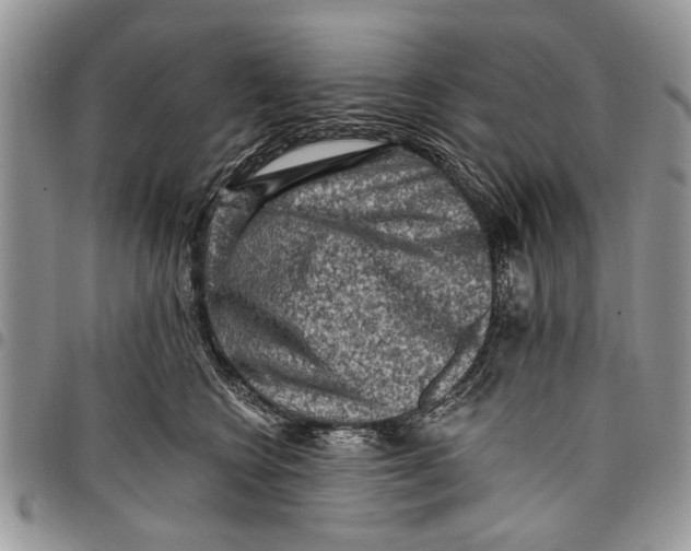 X0000097770566200803281642