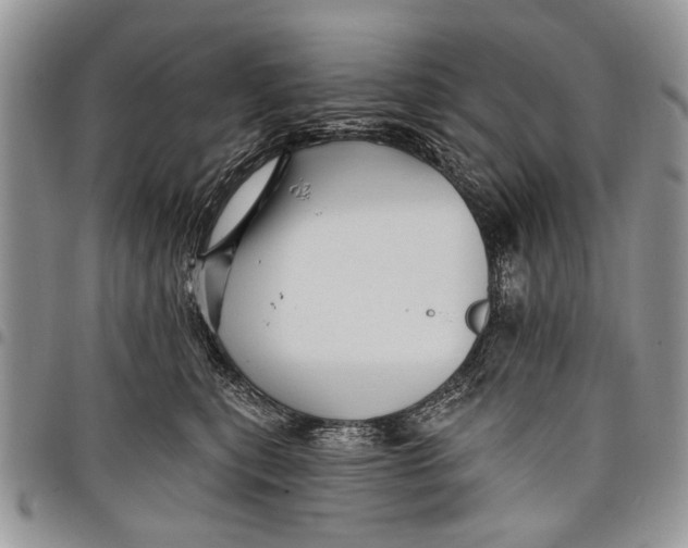 X0000097770567200803281642