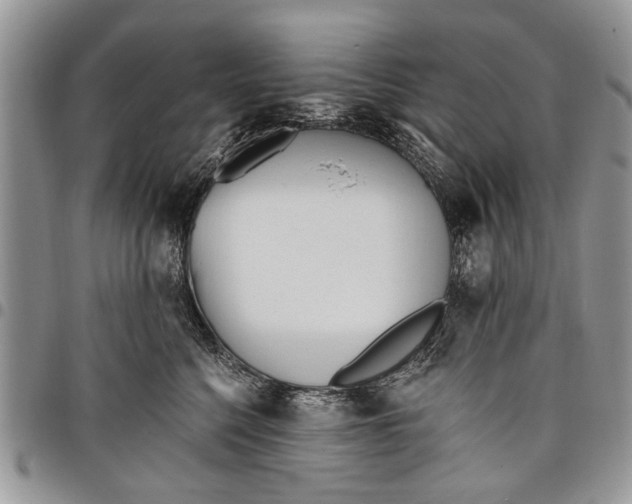 X0000097770568200803281642