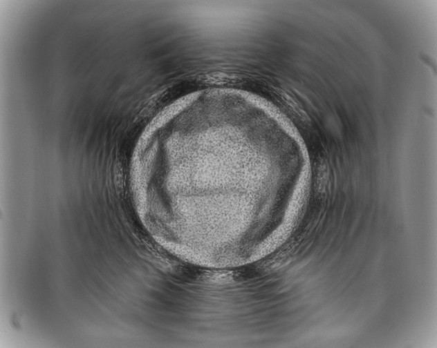 X0000097770569200803281642