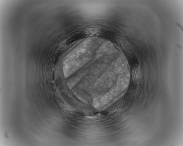 X0000097770570200803281642