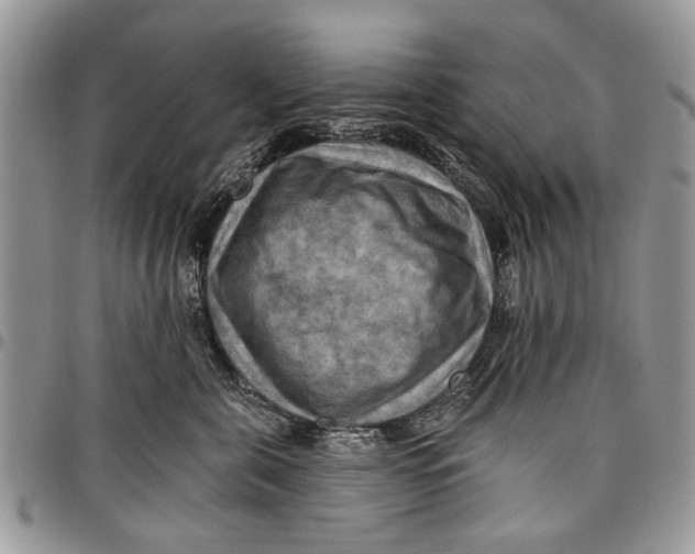 X0000097770571200803281642