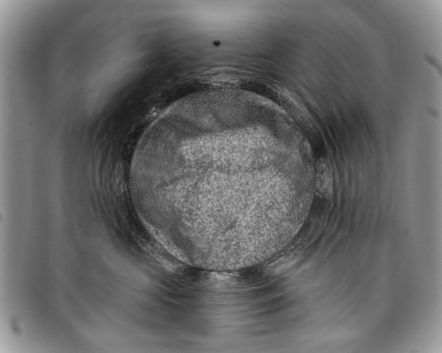 X0000097770573200803281642