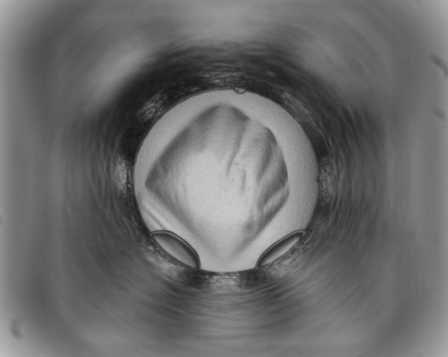 X0000097770574200803281642